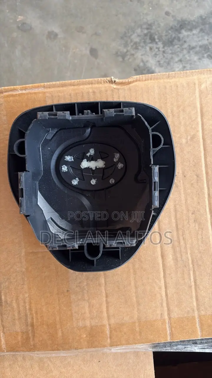 Rav4 2019-2024 Airbag Cover