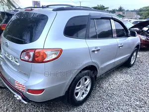 Hyundai Santa Fe 2010 Silver