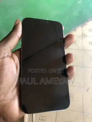 Apple iPhone 12 Pro 128 GB Gray