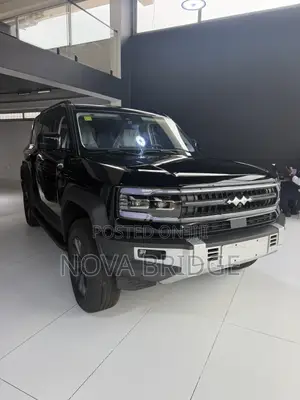 New BYD Leopard 5 2025 Black