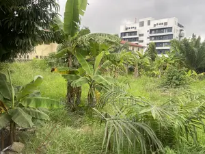 Half Plot of Land for Sale at Haasto No Litigation