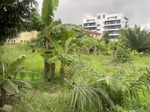 Half Plot of Land for Sale at Haasto No Litigation