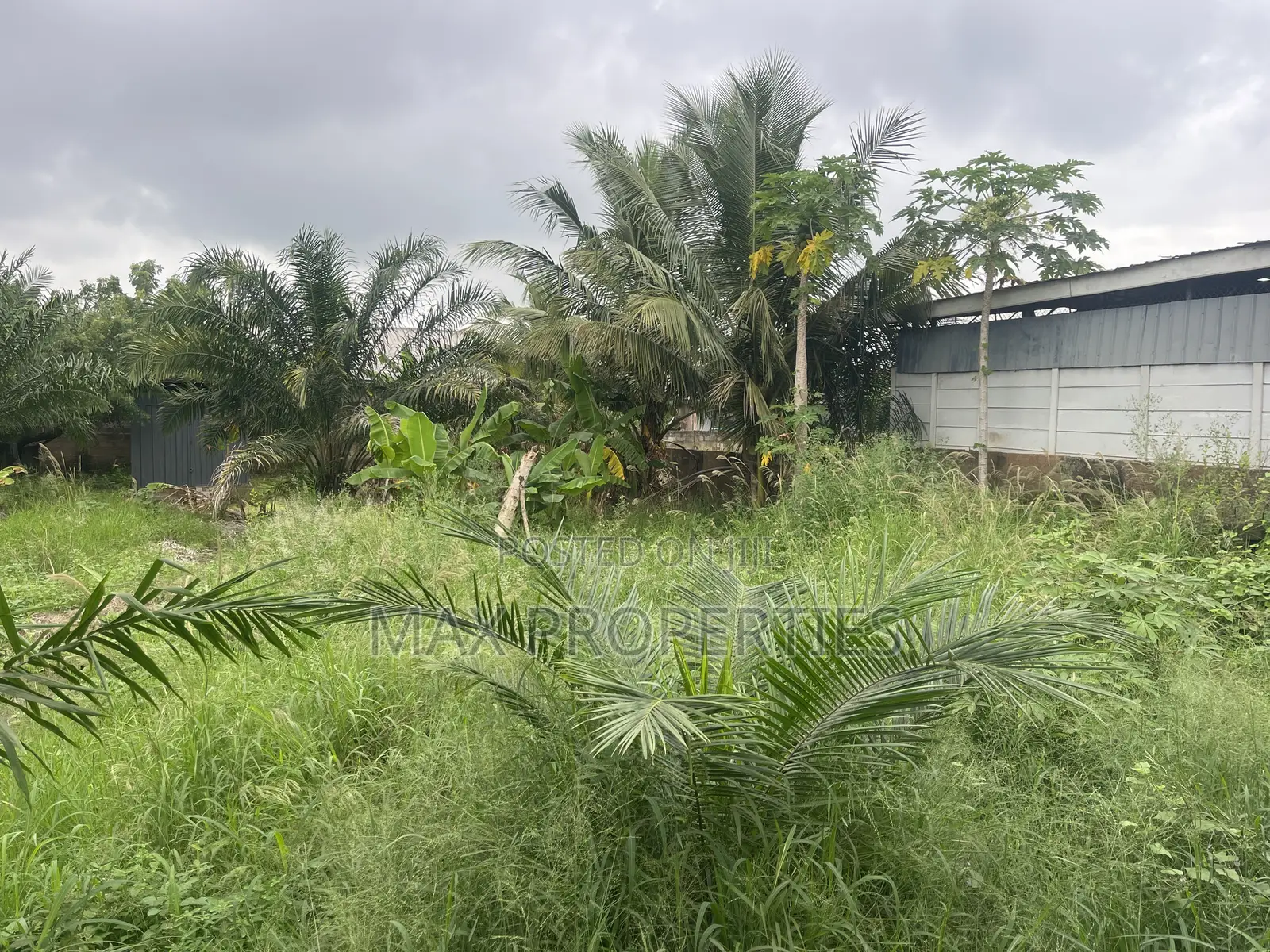 Half Plot of Land for Sale at Haasto No Litigation