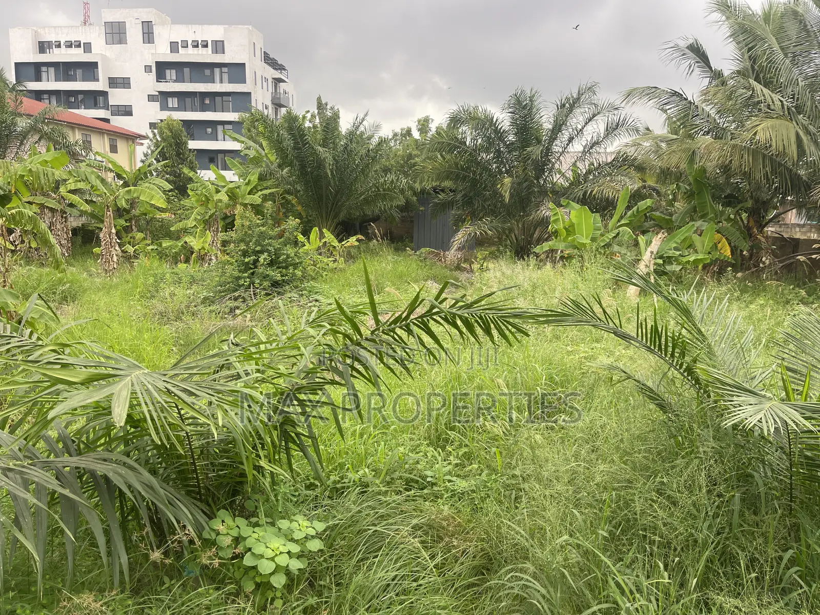 Half Plot of Land for Sale at Haasto No Litigation