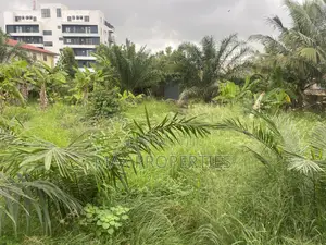 Half Plot of Land for Sale at Haasto No Litigation