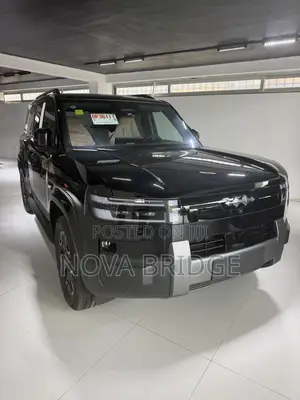 New BYD Leopard 7 2025 Black