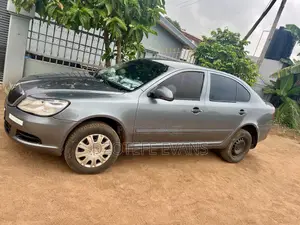 Skoda Octavia 2010 Gray