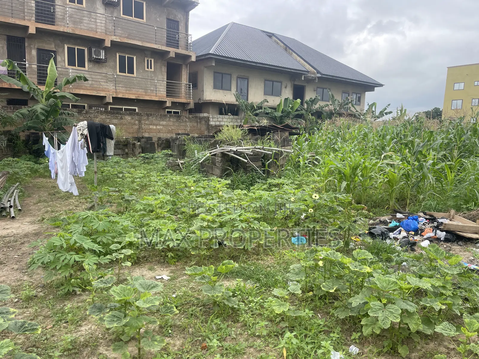 80/100 Plot of Land for Sale at Haasto Boshye No Litigation