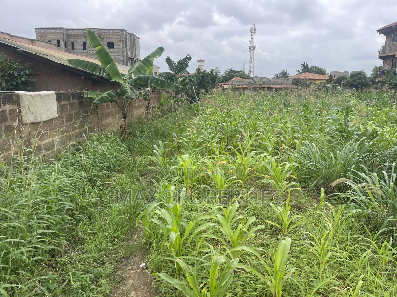 Plot of Land for Sale at Haasto Boshye No Litigation