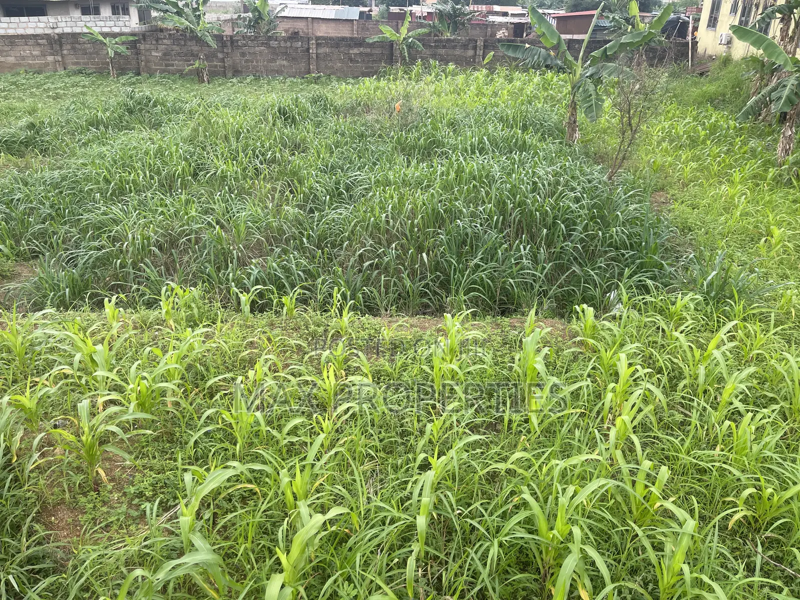 Plot of Land for Sale at Haasto Boshye No Litigation