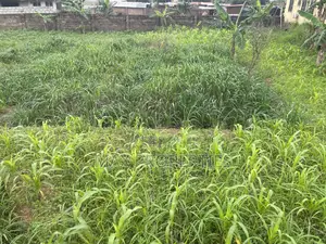 Plot of Land for Sale at Haasto Boshye No Litigation
