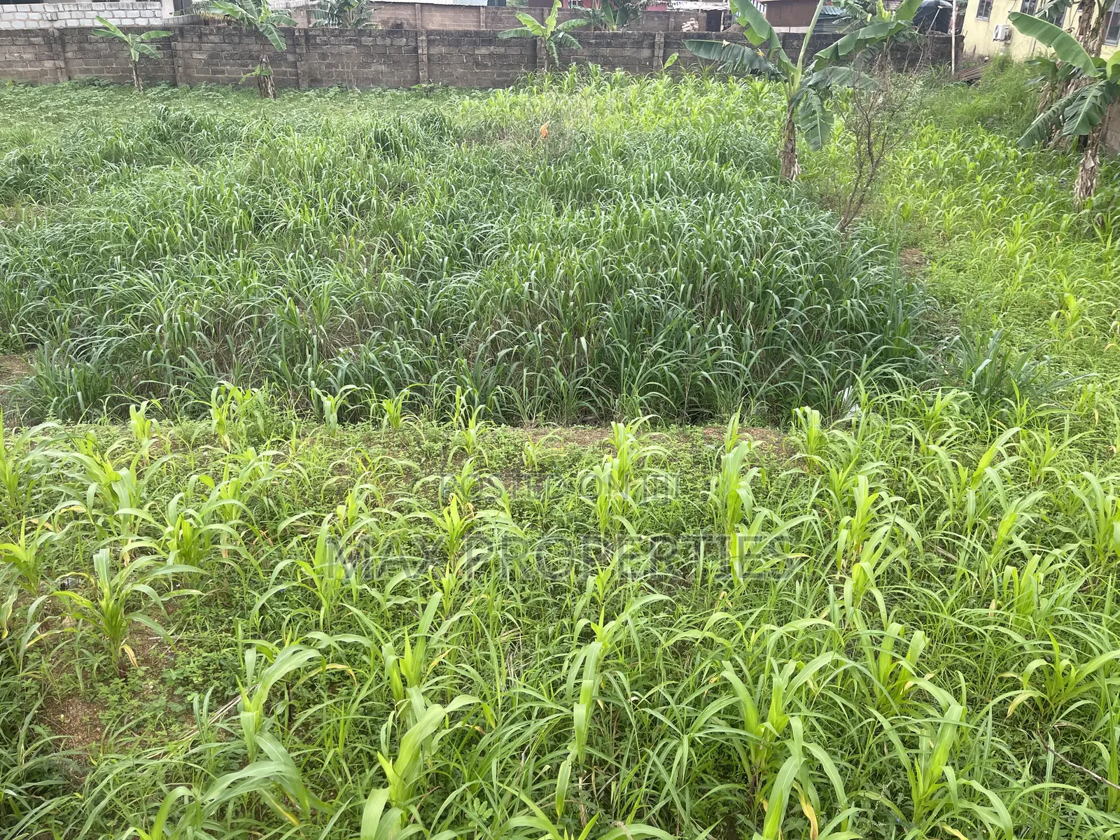 Plot of Land for Sale at Haasto Boshye No Litigation