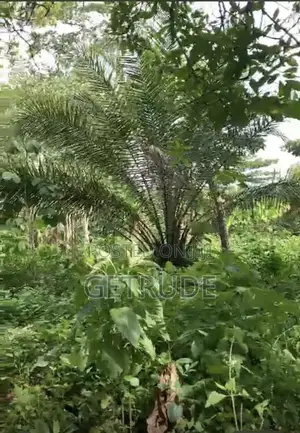 Registered 30000+ Acres Farm Land at Western Region