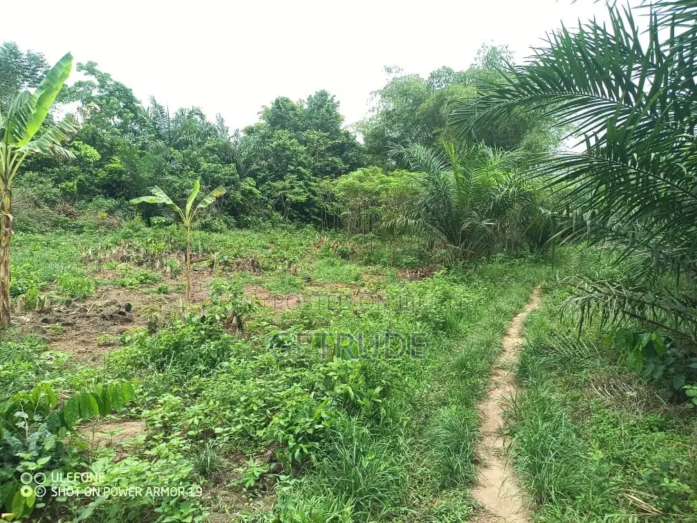 Registered 30000+ Acres Farm Land at Western Region