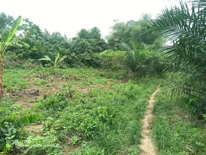 Registered 30000+ Acres Farm Land at Western Region
