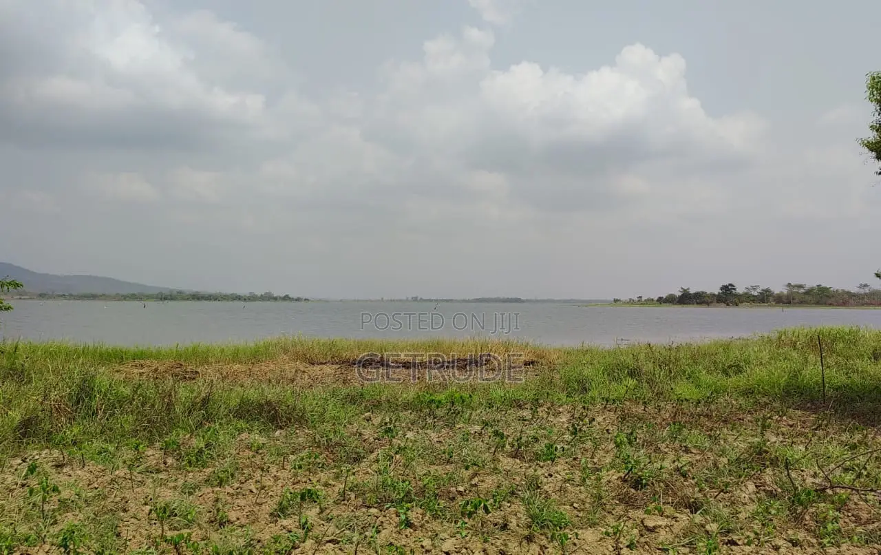 4000+ Acres Irrigable Farm Land for Rent at Oti Region