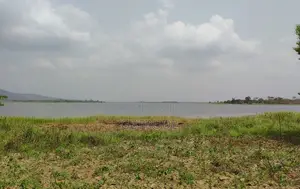 4000+ Acres Irrigable Farm Land for Rent at Oti Region