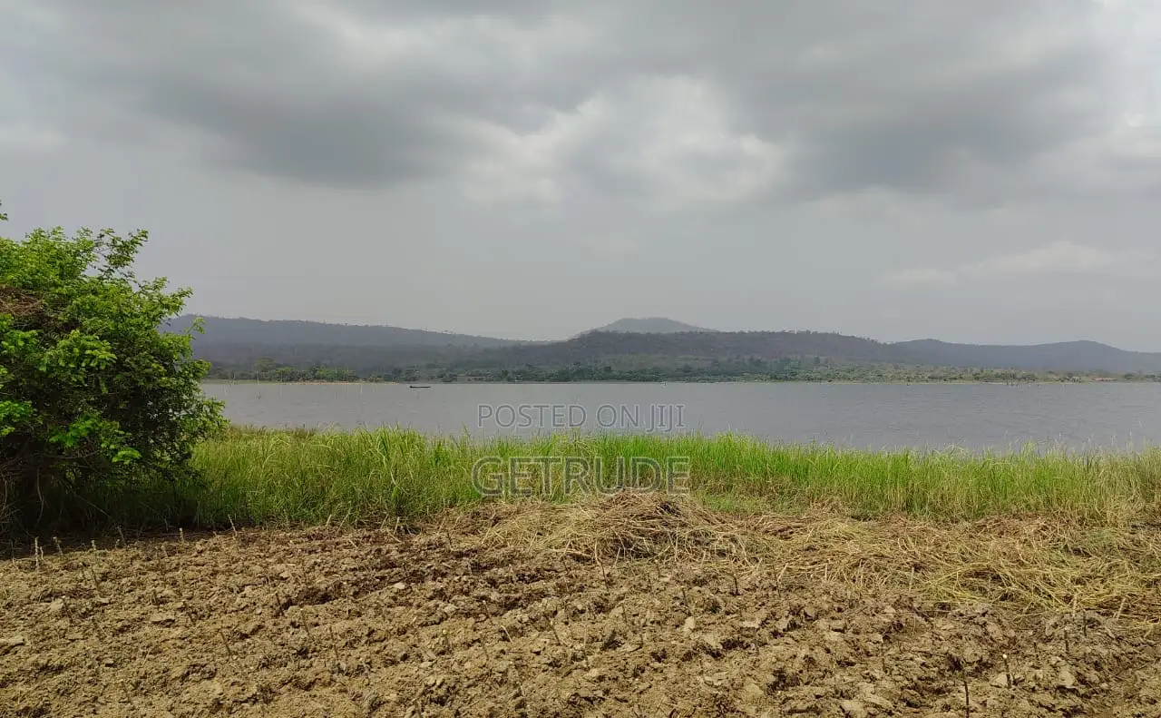 4000+ Acres Irrigable Farm Land for Rent at Oti Region