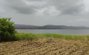 4000+ Acres Irrigable Farm Land for Rent at Oti Region