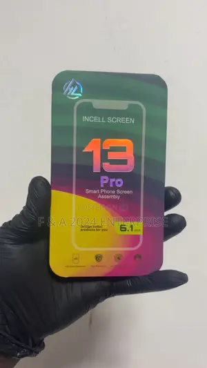 iPhone 13 Pro Display Screen