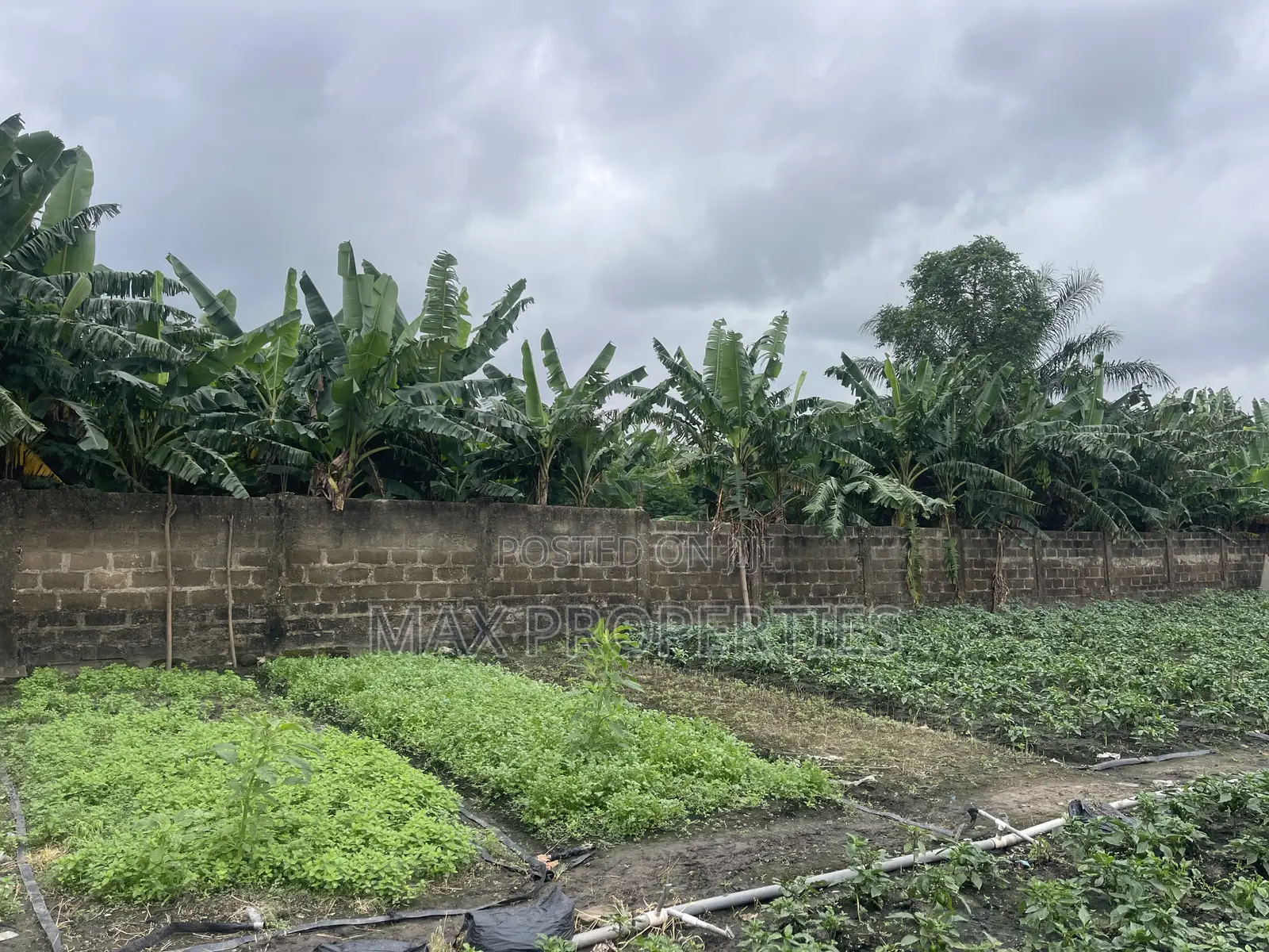 Plot of Land for Sale at Dome Pillar2 No Litigation or Land Guard