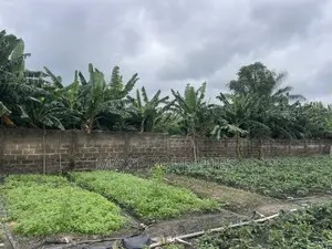 Plot of Land for Sale at Dome Pillar2 No Litigation or Land Guard