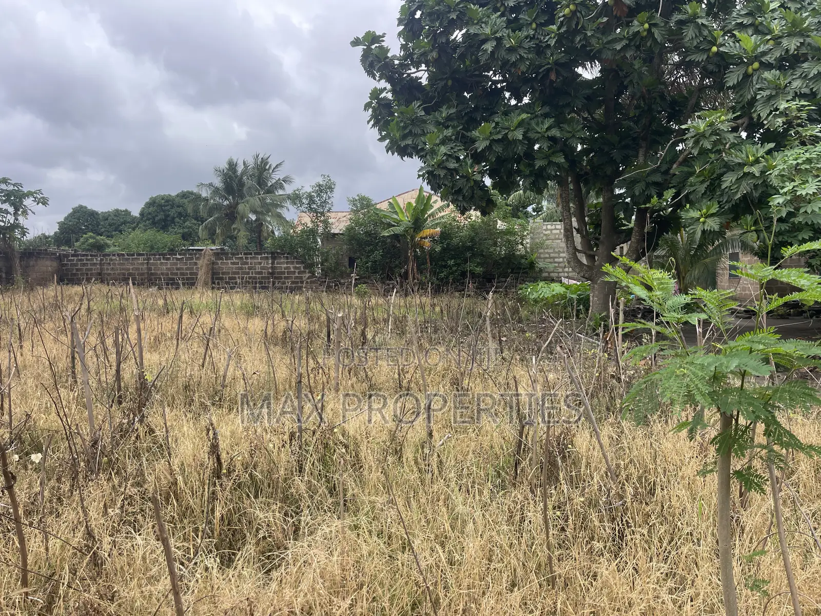 Plot of Land for Sale at Dome Pillar2 No Litigation or Land Guard