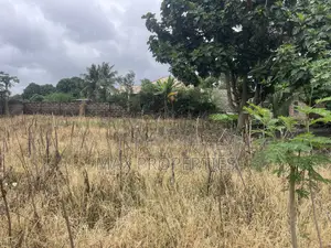 Plot of Land for Sale at Dome Pillar2 No Litigation or Land Guard