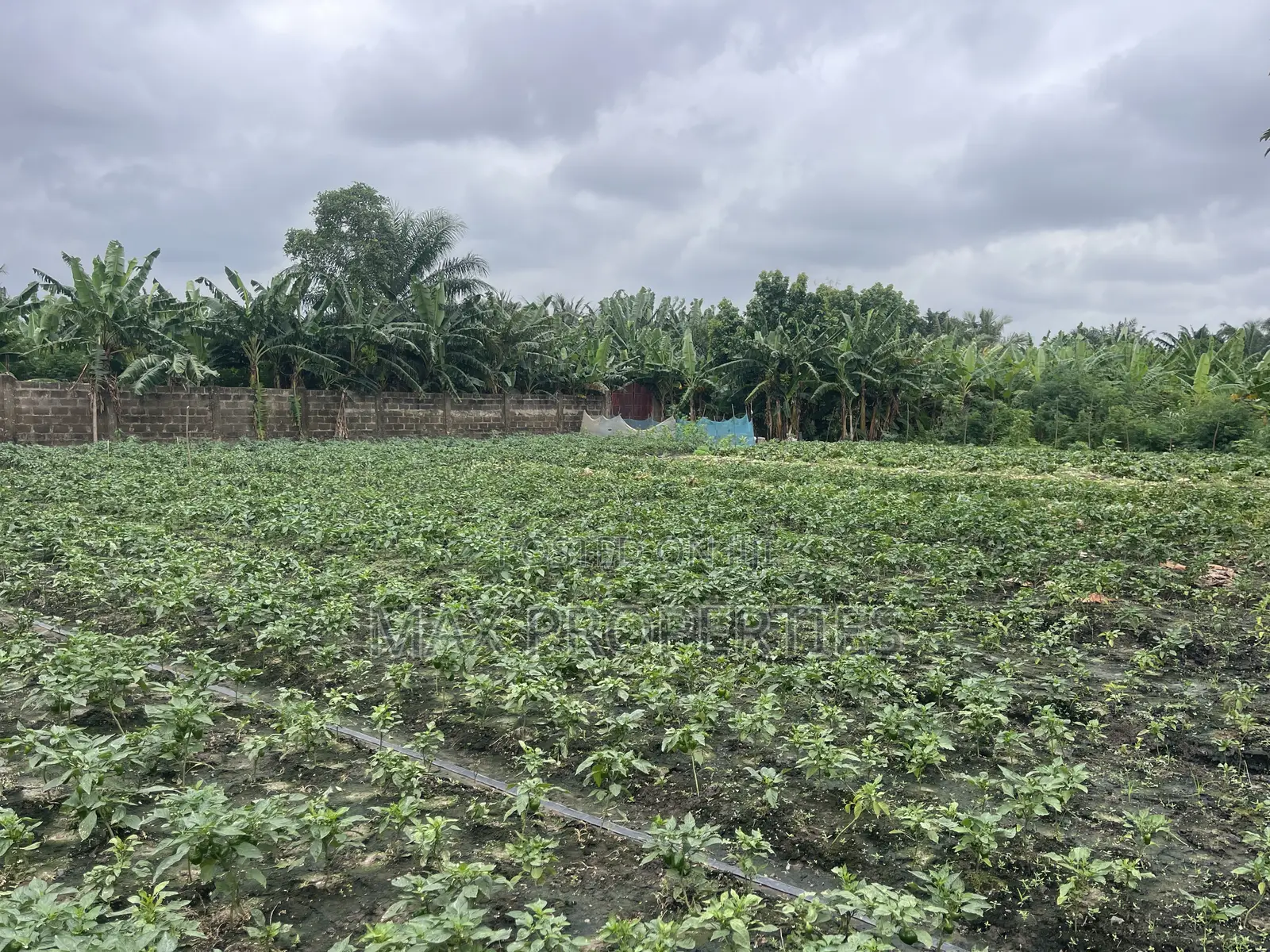 Plot of Land for Sale at Dome Pillar2 No Litigation or Land Guard