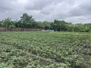 Plot of Land for Sale at Dome Pillar2 No Litigation or Land Guard