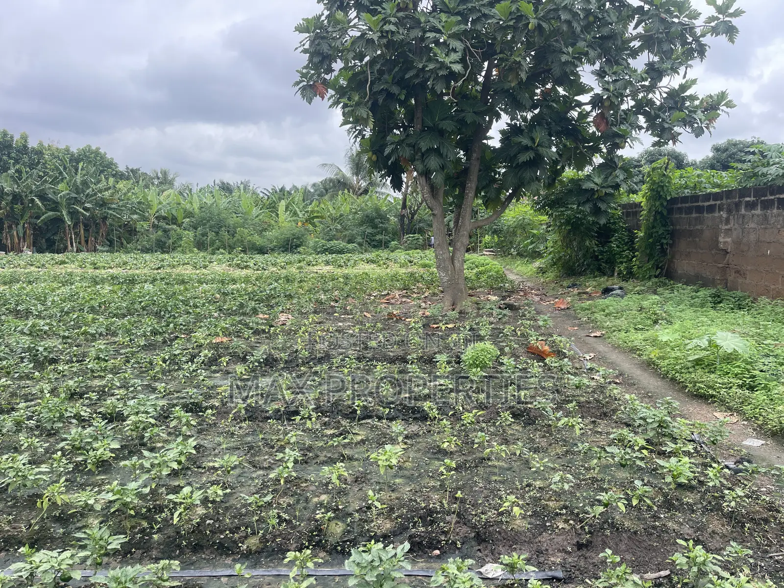 Plot of Land for Sale at Dome Pillar2 No Litigation or Land Guard