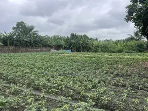 Plot of Land for Sale at Dome Pillar2 No Litigation or Land Guard