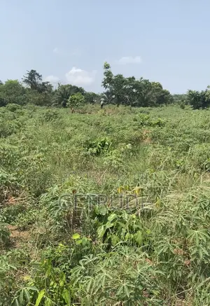 30000+ Acres Farm Lands at Kintampo-Bono East Region