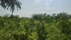30000+ Acres Farm Lands at Kintampo-Bono East Region