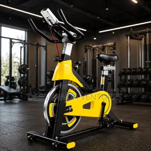 Q3 Spinning Bike Pro