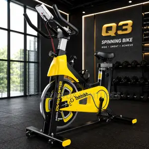 Q3 Spinning Bike Pro