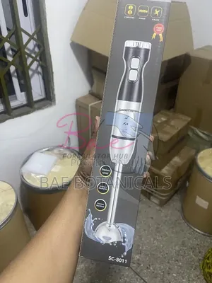1000W Immersion Stick Blender