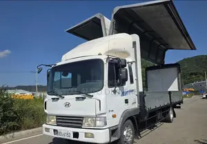 Hyundai 5 Ton Wing Body Truck 2007