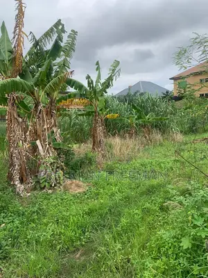 A Plot of Land for Building