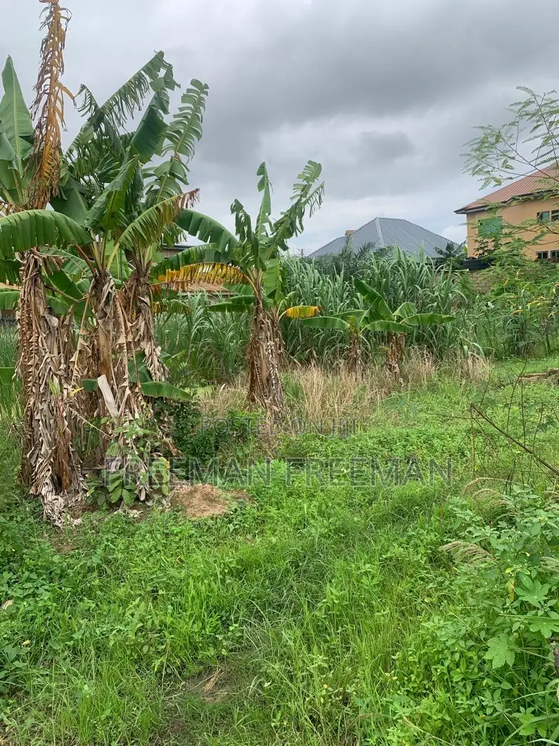 A Plot of Land for Building
