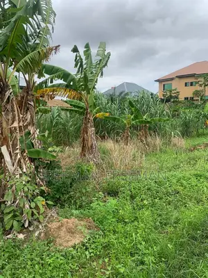 A Plot of Land for Building