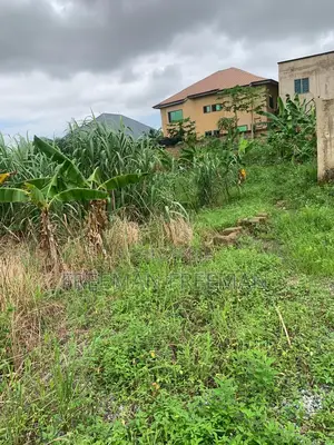 A Plot of Land for Building