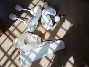 Ceiling Fans