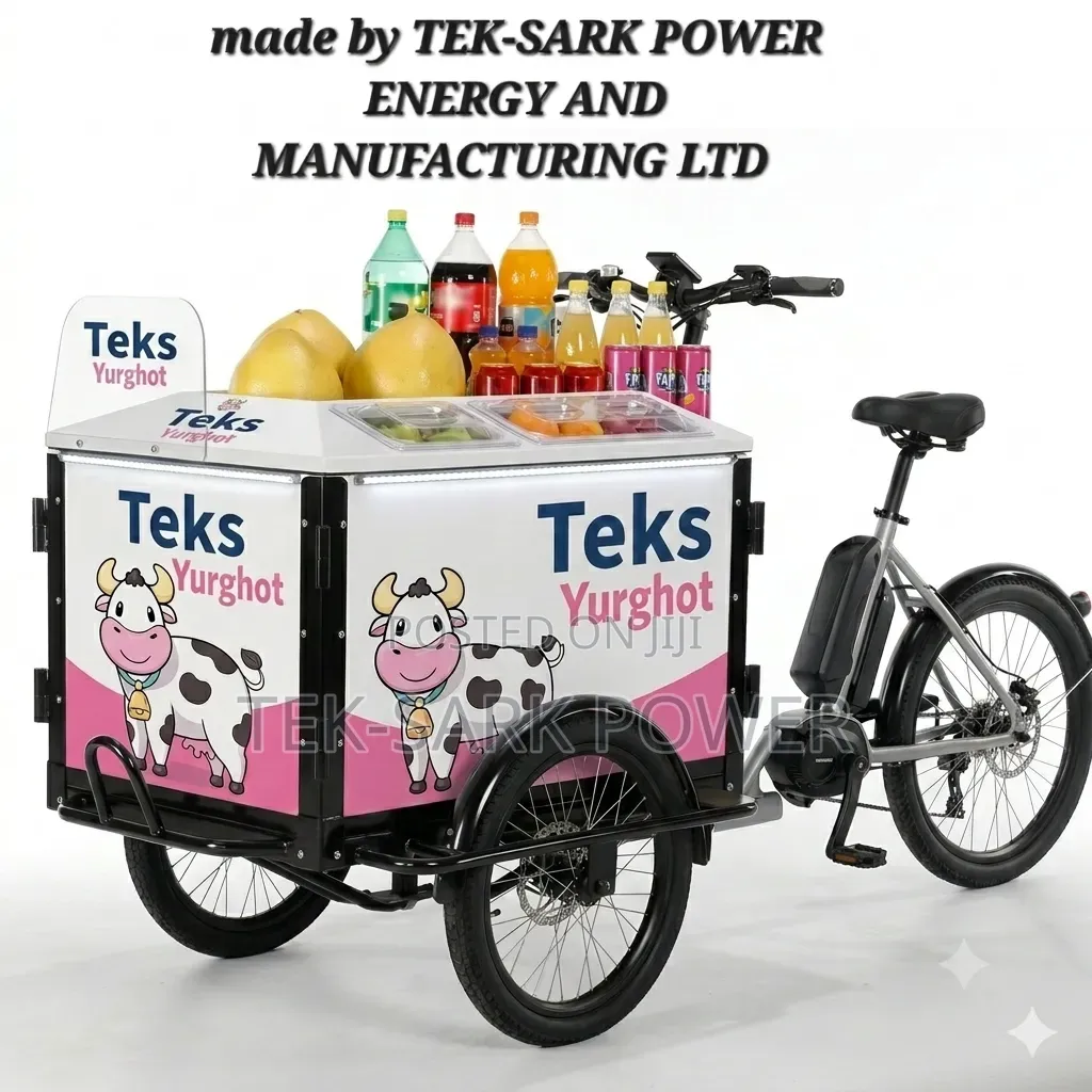 Tek-Sark Electric Bike