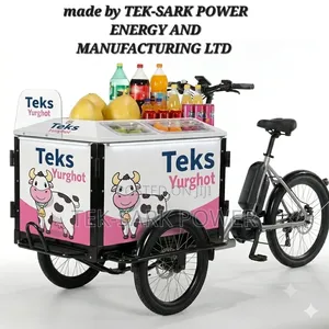 Tek-Sark Electric Bike
