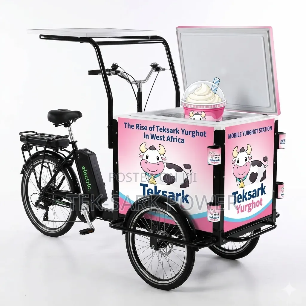 Tek-Sark Electric Bike
