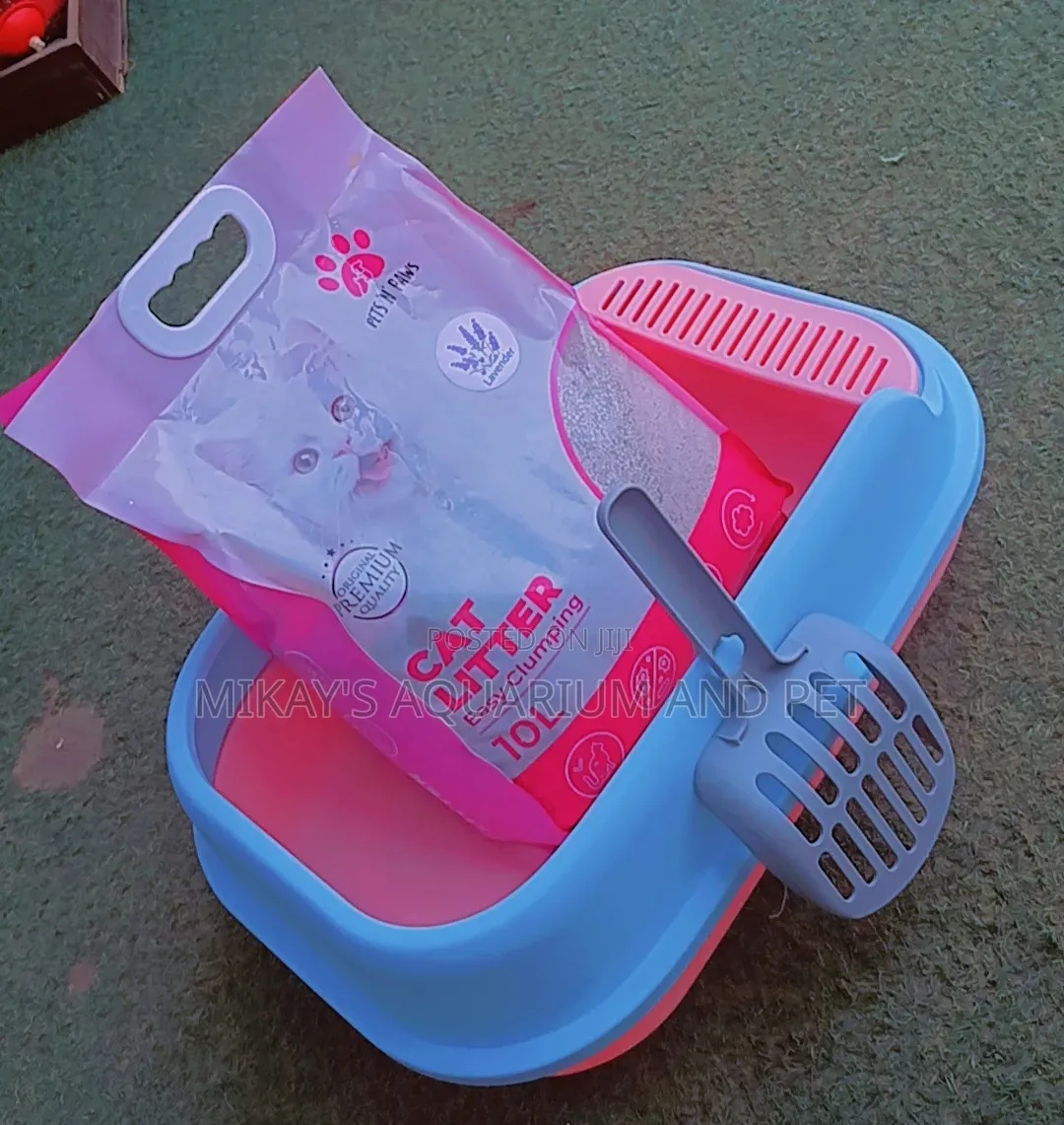 Litter Box and Sand Combo