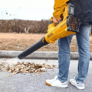 20V Lithium Grass Cutter Hand Blower Set With Battery Charger