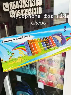 Xylophone for Kids