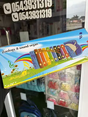 Xylophone for Kids